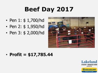 Beef Day 2017
• Pen 1: $ 1,700/hd
• Pen 2: $ 1,950/hd
• Pen 3: $ 2,000/hd
• Profit = $17,785.44
 