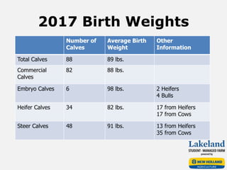 2017 Birth Weights
Number of
Calves
Average Birth
Weight
Other
Information
Total Calves 88 89 lbs.
Commercial
Calves
82 88 lbs.
Embryo Calves 6 98 lbs. 2 Heifers
4 Bulls
Heifer Calves 34 82 lbs. 17 from Heifers
17 from Cows
Steer Calves 48 91 lbs. 13 from Heifers
35 from Cows
 