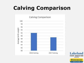 Calving Comparison
 