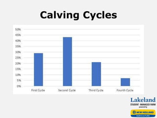 Calving Cycles
 