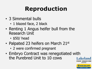 Reproduction
• 3 Simmental bulls
• 1 blazed face, 2 black
• Renting 1 Angus heifer bull from the
Research Unit
• $50/ head
• Palpated 23 heifers on March 21st
• 2 were confirmed pregnant
• Embryo Contract was renegotiated with
the Purebred Unit to 10 cows
 