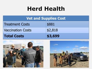 Herd Health
Vet and Supplies Cost
Treatment Costs $881
Vaccination Costs $2,818
Total Costs $3,699
 