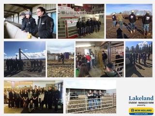 Commercial Beef SMF final presentation - April 2017