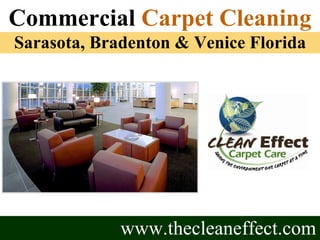 www.thecleaneffect.com Commercial  Carpet Cleaning Sarasota, Bradenton & Venice Florida 