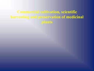 Commercial cultivation, scientific
harvesting and preservation of medicinal
plants
 