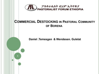 COMMERCIAL DESTOCKING IN PASTORAL COMMUNITY
                  OF   BORENA



       Daniel .Temesgen & Wendesen. Gulelat




 1
 
