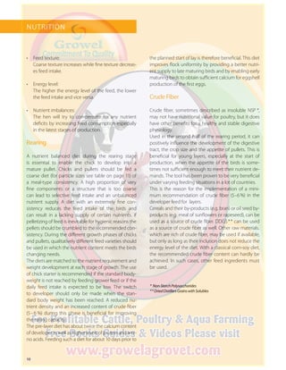 10
NUTRITION
•	 Feed texture:
Coarse texture increases while fine texture decreas-
es feed intake.
•	 Energy level:
The higher the energy level of the feed, the lower
the feed intake and vice versa.
•	 Nutrient imbalances:
The hen will try to compensate for any nutrient
deficits by increasing feed consumption especially
in the latest stages of production.
Rearing
A nutrient balanced diet during the rearing stage
is essential to enable the chick to develop into a
mature pullet. Chicks and pullets should be fed a
coarse diet (for particle sizes see table on page 11) of
a meal-type consistency. A high proportion of very
fine components or a structure that is too coarse
can lead to selective feed intake and an unbalanced
nutrient supply. A diet with an extremely fine con-
sistency reduces the feed intake of the birds and
can result in a lacking supply of certain nutrients. If
pelletizing of feed is inevitable for hygienic reasons the
pellets should be crumbled to the recommended con-
sistency. During the different growth phases of chicks
and pullets, qualitatively different feed varieties should
be used in which the nutrient content meets the birds
changing needs.
The diets are matched to the nutrient requirement and
weight development at each stage of growth. The use
of chick starter is recommended if the standard body-
weight is not reached by feeding grower feed or if the
daily feed intake is expected to be low. The switch
to developer should only be made when the stan-
dard body weight has been reached. A reduced nu-
trient density and an increased content of crude fiber
(5 – 6  %) during this phase is beneficial for improving
the eating capacity.
The pre-layer diet has about twice the calcium content
of developer as well as higher levels of protein and ami-
no acids. Feeding such a diet for about 10 days prior to
the planned start of lay is therefore beneficial. This diet
improves flock uniformity by providing a better nutri-
ent supply to late maturing birds and by enabling early
maturing birds to obtain sufficient calcium for eggshell
production of the first eggs.
Crude Fiber
Crude fiber, sometimes described as insoluble NSP  *,
may not have nutritional value for poultry, but it does
have other benefits for a healthy and stable digestive
physiology.
Used in the second half of the rearing period, it can
positively influence the development of the digestive
tract, the crop size and the appetite of pullets. This is
beneficial for young layers, especially at the start of
production, when the appetite of the birds is some-
times not sufficient enough to meet their nutrient de-
mands. The tool has been proven to be very beneficial
under varying feeding situations in a lot of countries.
This is the reason for the implementation of a mini-
mum recommendation of crude fiber (5–6   
* Non-StarchPolysaccharides
* *DriedDistillersGrainswithSolubles
%) in the
developer feed for layers.
Cereals and their by-products (e.g. bran) or oil seed by-
products (e.g. meal of sunflowers or rapeseed), can be
used as a source of crude fiber. DDGS** can be used
as a source of crude fiber as well. Other raw materials.
which are rich of crude fiber, may be used if available,
but only as long as their inclusion does not reduce the
energy level of the diet. With a classical corn-soy diet,
the recommended crude fiber content can hardly be
achieved. In such cases, other feed ingredients must
be used.
 