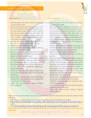 5
Cage Systems
•	 Before bringing in the chicks, check if everything is
in good working order.
•	 Warm up the house in good time, i.e. up to 35 – 36 °C
(95 – 97 °F) before the chicks are delivered. In sum-
mer start heating at least 24 hours and in winter at
least 48 hours before the chicks arrive. When the
right temperature has been achieved, supply mini-
mum ventilation. This will avoid temperature differ-
ences within the house.
•	 Maintain the recommended temperature of 35 – 
36 °C (95 – 97 °F) during the first 48 – 72 hours.
•	 Relative humidity should be at least 60 %.
•	 Adjust cage floors and feeding grids according to
the manufacturer’s instruction.
•	 Place sheets of paper on the cage floor for the first
days and distribute a bit of feed on this paper. The
papers must be removed by day 7.
•	 Reduce the water pressure of the nipples in order
to enable the chicks to find water easily and trig-
ger nipples/water cups to encourage birds to
drink. Keep drinking water temperature between
20 – 25 °C (68 – 77 °F) by temporarily flushing the
nipple drinker lines.
•	 Unload all chick boxes and distribute them in the
house. Remove all lids and place them on the top
of the boxes.
•	 Quickly place the chicks near feeders and drinkers.
Distribute the chicks evenly among the cages start-
ing at the far end of the house.
•	 Follow the recommended Lighting Program
(refer to page 22)
Floor Systems
•	 Before bringing in the chicks, check if everything is
in good working order.
•	 Warm up the house in good time, i.e. up to 35 – 36 °C
(95 – 97 °F) before the chicks are delivered. In sum-
mer start heating at least 24 hours and in winter at
least 48 hours before the chicks arrive. When the
right temperature has been achieved, supply mini-
mum ventilation. This will avoid temperature differ-
ences within the house. Maintain the recommend-
ed temperature of 35 – 36 °C (95 – 97 °F) during the
first 48 – 72 hours.
•	 Measure the brooder temperature by placing the
thermometer 8 cm (3 in) inside the outer edge of
the brooder and 8 cm (3 in) above the litter.
•	 Relative humidity should be at least 60 %.
•	 After arrival, place chicks under hover as soon as
possible.
•	 Reduce the water pressure of the nipples in order to
enable the chicks to find water easily. Dip the beaks
of a few chicks and trigger nipple or water cups to
help them start drinking. When drinking water has
been found by all chicks (this will take approx. 2 – 
3 hours), they will start to eat. Keep drinking water
temperature between 20 – 25 °C (68 – 77 °F) by tem-
porarily flushing the nipple drinker lines or renew-
ing the water in the chick founts.
•	 Supply Chicks with additional feeding pans to en-
sure a better feed intake in the first few days.
•	 Check the chicks frequently, even during the night
to avoid any problems.
•	 Chicks should be fully feathered before brooding
equipment can be removed.
•	 Follow the recommended Lighting Program
(refer to page 22).
HOUSING CHICKS
After a few hours, check whether the chicks have settled down well. The chicks’ behavior is the best indicator of their
well being:
•	 If the chicks are evenly spread out and moving freely, temperature and ventilation are all right.
•	 If the chicks are crowding together or avoiding certain areas within the house, temperature is too low or there is
a draft.
•	 If the chicks are laying on the floor with their wings spread out and gasping for air, temperature is too high.
At first signs that the chicks are not feeling well determine the reason, correct the situation and check more
frequently.
 