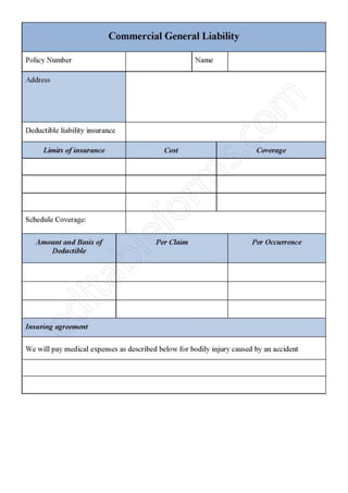 Commercial General Liability Fillable PDF Template