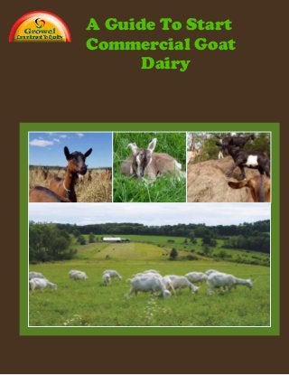 Goat Dairy
A Guide to Starting a
Commercial
usAcuu A Guide To Start
Commercial Goat
Dairy
 