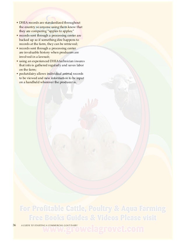 Commercial Goat Dairy Guide