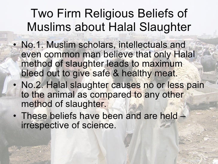 Commercial halal slaughter science and religion