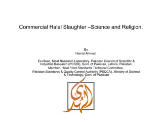 Commercial Halal Slaughter –Science and Religion.



                                       By
                                  Hamid Ahmad,

        Ex-Head, Meat Research Laboratory, Pakistan Council of Scientific &
          Industrial Research (PCSIR), Govt. of Pakistan, Lahore, Pakistan.
                Member, Halal Food Standards Technical Committee,
     Pakistan Standards & Quality Control Authority (PSQCA), Ministry of Science
                           & Technology, Govt. of Pakistan
 