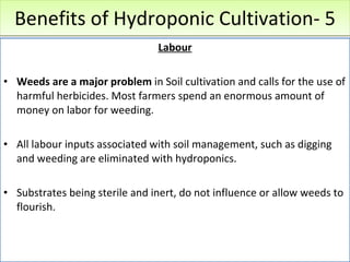 Benefits of Hydroponic Cultivation- 5 Labour Weeds are a major problem  in Soil cultivation and calls for the use of harmful herbicides. Most farmers spend an enormous amount of money on labor for weeding. All labour inputs associated with soil management, such as digging and weeding are eliminated with hydroponics.  Substrates being sterile and inert, do not influence or allow weeds to flourish. 12/09/11 Presentation is copyright of ISH, India 