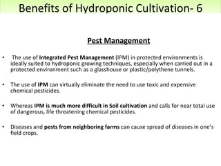 Benefits of Hydroponic Cultivation- 6   Pest Management The use of  Integrated Pest Management  (IPM) in protected environments is ideally suited to hydroponic growing techniques, especially when carried out in a protected environment such as a glasshouse or plastic/polythene tunnels.  The use of  IPM  can virtually eliminate the need to use toxic and expensive chemical pesticides. Whereas  IPM is much more difficult in Soil cultivation  and calls for near total use of dangerous, life threatening chemical pesticides. Diseases and  pests from neighboring farms  can cause spread of diseases in one’s field crops. 12/09/11 Presentation is copyright of ISH, India 