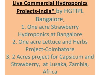 Live Commercial Hydroponics Projects-India*  by HGTIPL Bangalore   1. One acre Strawberry Hydroponics at Bangalore 2. One acre Lettuce and Herbs Project-Coimbatore 3. 2 Acres project for Capsicum and Strawberry,  at Lusaka, Zambia, Africa 