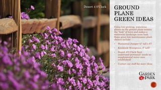 Using low-growing, waterwise
plants on the ground plane mimics
the “look” of lawn and makes a
waterwise landscape more lush.
Some great low-maintenance plant
choices include:
• Horizontal Juniper (2” tall x 6’)
• Kinikinik (Evergreen, 3” tall)
• Desert 4’O Clock (best
underused perennial- needs no
supplemental water once
established)
• Contact our staff for more ideas
Desert 4 0’Clock
 