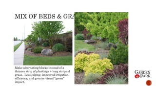 Make alternating blocks instead of a
thinner strip of plantings + long strips of
grass. Less edging, improved irrigation
efficiency, and greater visual “green”
impact.
 