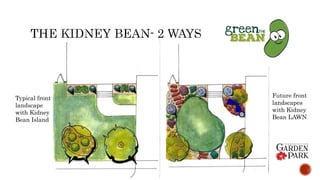 Typical front
landscape
with Kidney
Bean Island
Future front
landscapes
with Kidney
Bean LAWN
 