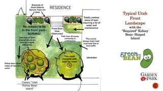 Typical Utah
Front
Landscape
with the
“Required” Kidney
Bean- Shaped
Island
Kidney bean Island
makes all lawn less
useful
 