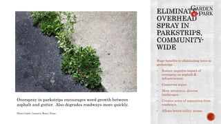 Huge benefits to eliminating lawn in
parkstrips:
• Reduce negative impact of
overspray on asphalt &
infrastructure.
• Conserves water.
• More attractive, diverse
landscapes.
• Creates sense of separation from
roadways.
• Allows better utility access.
Overspray in parkstrips encourages weed growth between
asphalt and gutter. Also degrades roadways more quickly.
Photo Credit: Conserve Water Texas
 