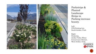 Parkstrips &
Planted
Landscape
Strips in
Parking increase
beauty.
Left:
UTA Parking Lot,
South Jordan, Utah
Right:
Parkstrip,
Jordan Valley Water
Conservancy District,
West Jordan, Utah
 