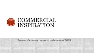 Examples of waterwise commercial landscapes that WORK!
 