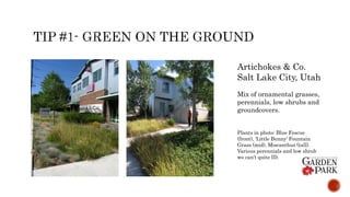 Artichokes & Co.
Salt Lake City, Utah
Mix of ornamental grasses,
perennials, low shrubs and
groundcovers.
Plants in photo: Blue Fescue
(front), ‘Little Bunny’ Fountain
Grass (mid), Miscanthus (tall).
Various perennials and low shrub
we can’t quite ID.
 