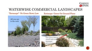 “Zeroscape”- No Green Down Low Xeriscape- Green On Ground Plane
All you see
is the rock
Low green foliage
covers rock and
increases
attractiveness.
 