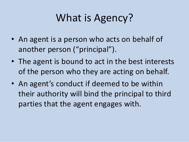 Commercial Law Agency