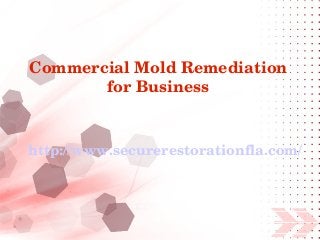 Commercial Mold Remediation 
       for Business


http://www.securerestorationfla.com/
 
