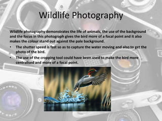 Wildlife Photography
Wildlife photography demonstrates the life of animals, the use of the background
and the focus in this photograph gives the bird more of a focal point and it also
makes the colour stand out against the pale background.
• The shutter speed is fast so as to capture the water moving and also to get the
photo of the bird.
• The use of the cropping tool could have been used to make the bird more
centralised and more of a focal point.
 