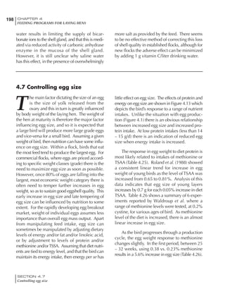 198 CHAPTER 4
FEEDING PROGRAMS FOR LAYING HENS
SECTION 4.7
Controlling egg size
water results in limiting the supply of bicar-
bonate ions to the shell gland, and that this is medi-
ated via reduced activity of carbonic anhydrase
enzyme in the mucosa of the shell gland.
However, it is still unclear why saline water
has this effect, in the presence of overwhelmingly
more salt as provided by the feed. There seems
to be no effective method of correcting this loss
of shell quality in established flocks, although for
new flocks the adverse effect can be minimized
by adding 1 g vitamin C/liter drinking water.
T
he main factor dictating the size of an egg
is the size of yolk released from the
ovary and this in turn is greatly influenced
by body weight of the laying hen. The weight of
the hen at maturity is therefore the major factor
influencing egg size, and so it is expected that
a large bird will produce more large grade eggs
and vice-versa for a small bird. Assuming a given
weight of bird, then nutrition can have some influ-
ence on egg size. Within a flock, birds that eat
the most feed tend to produce the largest egg. For
commercial flocks, where eggs are priced accord-
ing to specific weight classes (grade) there is the
need to maximize egg size as soon as possible.
However, once 80% of eggs are falling into the
largest, most economic weight category there is
often need to temper further increases in egg
weight, so as to sustain good eggshell quality. This
early increase in egg size and late tempering of
egg size can be influenced by nutrition to some
extent. For the rapidly developing egg breakout
market, weight of individual eggs assumes less
importance than overall egg mass output. Apart
from manipulating feed intake, egg size can
sometimes be manipulated by adjusting dietary
levels of energy and/or fat and/or linoleic acid,
or by adjustment to levels of protein and/or
methionine and/orTSSA. Assuming that diet nutri-
ents are tied to energy level, and that the bird can
maintain its energy intake, then energy per se has
little effect on egg size. The effects of protein and
energy on egg size are shown in Figure 4.13 which
depicts the bird’s response to a range of nutrient
intakes. Unlike the situation with egg produc-
tion (Figure 4.1) there is an obvious relationship
between increased egg size and increased pro-
tein intake. At low protein intakes (less than 14
– 15 g/d) there is an indication of reduced egg
size when energy intake is increased.
The response in egg weight to diet protein is
most likely related to intakes of methionine or
TSAA (Table 4.25). Roland et al. (1988) showed
a consistent linear trend for increase in egg
weight of young birds as the level of TSAA was
increased from 0.65 to 0.81%. Analysis of this
data indicates that egg size of young layers
increases by 0.7 g for each 0.05% increase in diet
TSAA. Table 4.26 shows a summary of 6 exper-
iments reported by Waldroup et al. where a
range of methionine levels were tested, at 0.2%
cystine, for various ages of bird. As methionine
level of the diet is increased, there is an almost
linear increase in egg size.
As the bird progresses through a production
cycle, the egg weight response to methionine
changes slightly. In the first period, between 25
– 32 weeks, using 0.38 vs. 0.23% methionine
results in a 5.6% increase in egg size (Table 4.26).
4.7 Controlling egg size
 