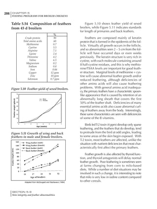 286 CHAPTER 5
FEEDING PROGRAMS FOR BROILER CHICKENS
SECTION 5.9
Skin integrity and feather abnormalities
Table 5.54 Composition of feathers
from 45 d broilers
Figure 5.10 shows feather yield of sexed
broilers, while Figure 5.11 indicates standards
for length of primaries and back feathers.
Feathers are composed mainly of keratin
protein that is formed in the epidermis of the fol-
licle. Virtually all growth occurs in the follicle,
and so abnormalities seen 2 – 5 cm from the fol-
licle will have occurred days or even weeks
previously. The keratin structure is very rich in
cystine, with each molecule containing around
8 half-cystine residues, and this is why methio-
nine/TSAA levels are important for good feath-
er structure. Marginal levels of methionine + cys-
tine will cause abnormal feather growth and/or
reduced feathering, although deficiencies of
other amino acids will also cause feathering
problems. With general amino acid inadequa-
cy, the primary feathers have a characteristic spoon-
like appearance that is caused by retention of an
abnormally long sheath that covers the first
50% of the feather shaft. Deficiencies of many
essential amino acids also cause abnormal curl-
ing of feathers away from the body. Interestingly,
these same characteristics are seen with deficiencies
of some of the B vitamins.
Birds fedT-2 toxin (4 ppm) develop only sparse
feathering, and the feathers that do develop, tend
to protrude from the bird at odd angles, leading
to some areas of the skin begin exposed. With
T-2 toxin, most feathers are affected, unlike the
situation with nutrient deficiencies that most char-
acteristically first affect the primary feathers.
Feather growth is also affected by thyroid func-
tion, and thyroid antagonists will delay normal
feather growth. Poor feathering is sometimes seen
at farms changing from corn to milo-based
diets. While a number of diet situations may be
involved in such a change, it is interesting to note
that milo is very low in iodine content compared
to other cereals.
%
Crude protein 90
Total amino acids 60
Methionine 0.7
Cystine 5.5
Arginine 7.1
Lysine 2.4
Threonine 4.2
Valine 6.5
Magnesium 0.2
Sodium 0.8
Iron 0.06
Copper 12 ppm
Zinc 10 ppm
Selenium 0.7 ppm
Figure 5.10 Feather yield of sexed broilers.
Figure 5.11 Growth of wing and back
feathers in male and female broilers.
Adapted from McDougald and Keshavavz (1984)
 