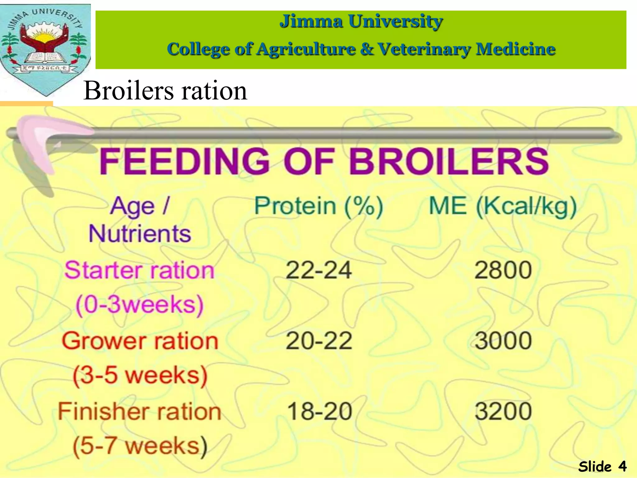 Commercial poultry ration in Ethiopia.pptx