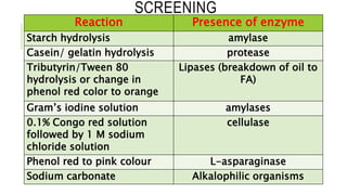 COMMERCIAL PRODUCTION OF ENZYMES.pptx