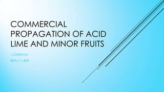 COMMERCIAL
PROPAGATION OF ACID
LIME AND MINOR FRUITS
-J.Delince
BSA-11-409
 