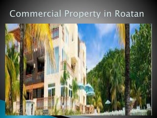Commercial property in roatan
