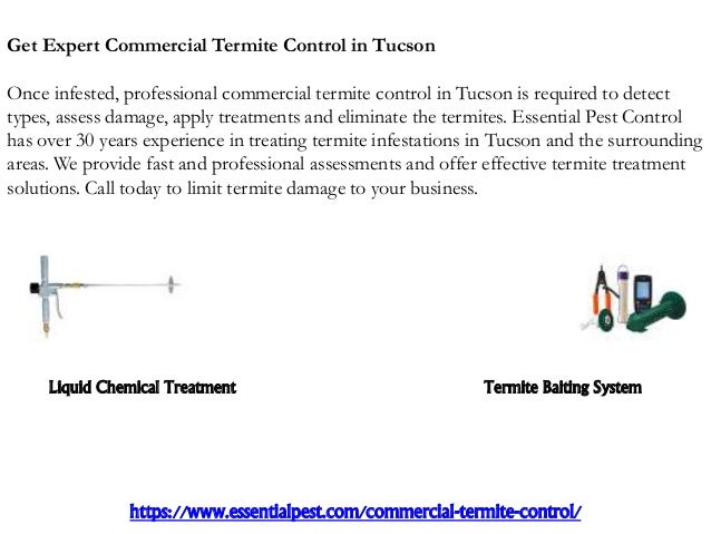 Termite Treatment Tucson - Termites Info