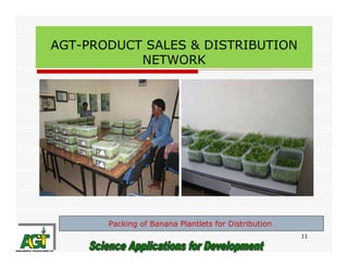 AGT-PRODUCT SALES & DISTRIBUTION
NETWORK

Packing of Banana Plantlets for Distribution
11

 