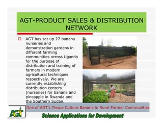 AGT-PRODUCT SALES & DISTRIBUTION
NETWORK
AGT has set up 27 banana
nurseries and
demonstration gardens in
different farming...