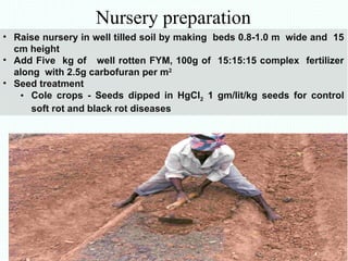 Fym Well Rotted commercial vegetable cultivation different agroecosystem.ppt