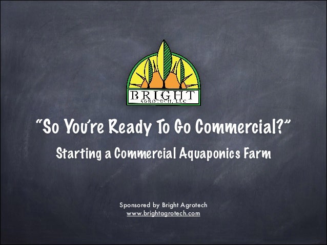 Starting a Commercial Aquaponics Farm - Bright Agrotech