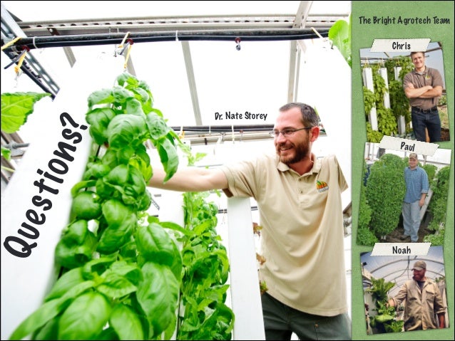 Starting a Commercial Aquaponics Farm - Bright Agrotech