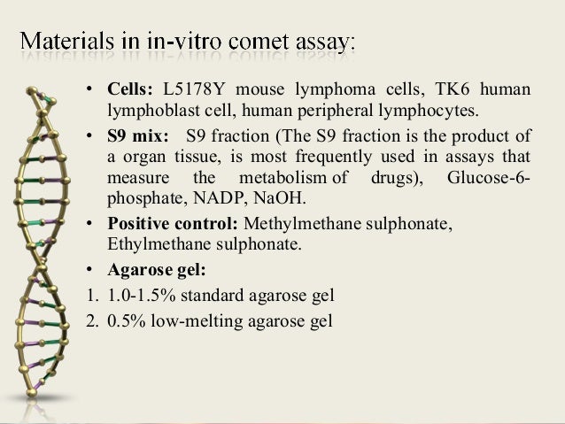 commet assay tissue culture flow chart