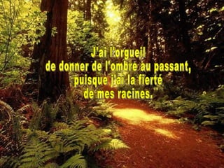 J'ai l'orgueil de donner de l'ombre au passant, puisque j'ai la fierté de mes racines. 