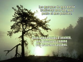Les marques de mon passé trahissent mon âge, mes peurs et mes pensées. Voyez mes noeuds d'anxiété, mes blessures comme des branches cassées. 