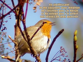 En vieillissant, je me souviens avec émotion de l'oisillon que j'ai berçé et du refuge que j'ai offert aux jeunes de mon quartier. 