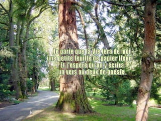 Je parie que la Vie fera de moi une petite feuille de papier fleuri... Et j'espère qu'on y écrira un vers ou deux de poésie. 