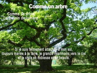 Si je suis fermement attachée à mon sol,  toujours mariée à la terre, je grandis néanmoins vers le ciel et je croîs en noblesse et en beauté. Comme un arbre, j'ai besoin de lumière. Comme un arbre 